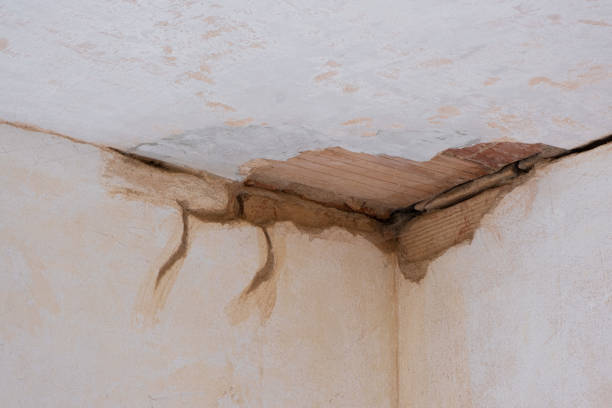 Best Flood damage cleanup  in Eldon, MO