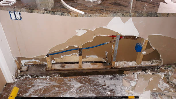 Best Fire Damage Restoration  in Eldon, MO