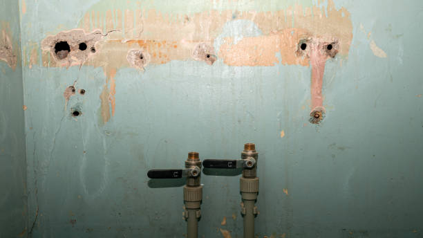Best Commercial water damage restoration  in Eldon, MO