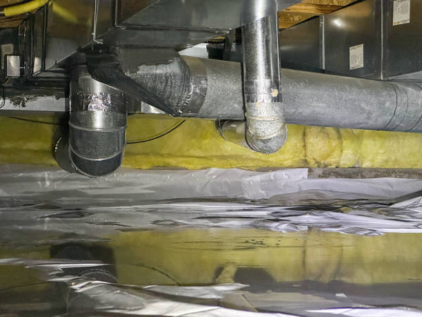 Best Flood damage cleanup  in Eldon, MO