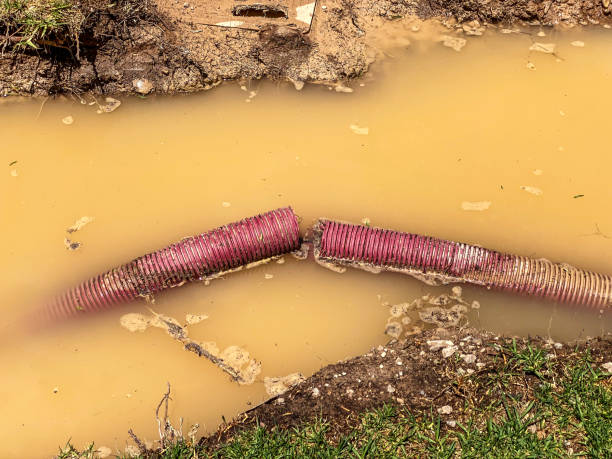 Best Water damage restoration near me  in Eldon, MO